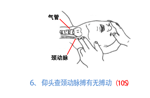 与时间赛跑，为生命接力！