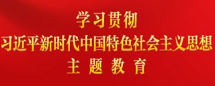 学习贯彻席大大新时代中国特色社会主义思想主题教育